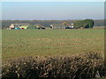 Low Farm from Muckton Bottom Road