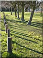 Early evening shadows cast by the posts at the edge of Flood Lane