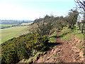 Footpath, Abbot