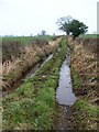 NY4662 : Waterlogged bridleway to Laversdale by Rose and Trev Clough
