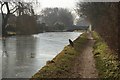 SP0396 : Heron on the Rushall canal by Derek Bennett