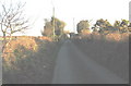 Minor road  from Llwyndyrys near to the junction with the A499