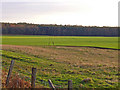 Fields at Abercairney