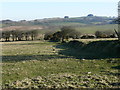 Tir Amaethyddol ger Bwlch- Llan / Agricultural Land near Bwlch- Llan