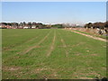 View across the field to Sholden