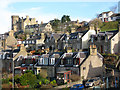 Houses at Selkirk