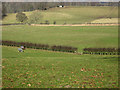 Grazing fields at Bridgelands