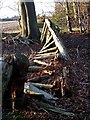 Collapsed fence, Millfield Wood