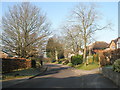 Love Lane in the February sunshine