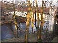 Footbridge, Otley