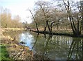 River Wey Navigation near Bowers Lock