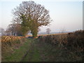 Footpath to the fields