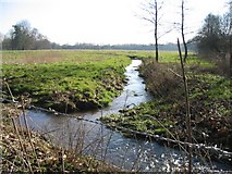 SU3226 : Stream escaping from the River Test in Mottisfont by Rosemary Oakeshott