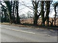 Farmland across the A33, near Kings Worthy