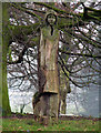 Oak figures, Malone Road roundabout [2]