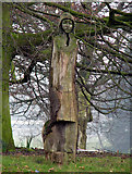 J3269 : Oak figures, Malone Road roundabout [2] by Rossographer