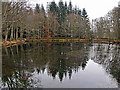 Artificial pond on the Conalter Burn