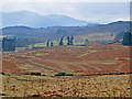 NN8123 : Moorland and rough pasture looking towards Lawers by Dr Richard Murray