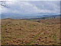 NN8123 : Rough pasture on the north side of Strathearn by Dr Richard Murray