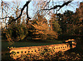 Winter Sun on Wootton Court Gardens