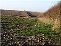 Fields near Thornewidger