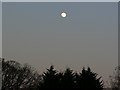 Moon over Sparsholt, Hampshire