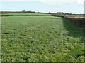 Grazing land near Baxworthy Farm