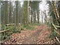 Gateway to public footpath out of Dunbridge