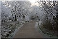 Guisborough Branch Walkway