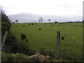 Aghascrebagh Townland