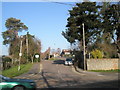 Road to the cemetery