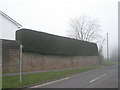 Superb hedge in Tilmore Road