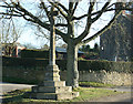 2008 : War memorial, Ditteridge