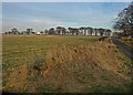 View across field to Whitehouse