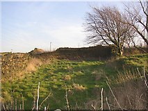 SE1220 : Small enclosure, Pinfold Lane, Fixby by Humphrey Bolton