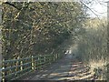 2008 : Disused Railway near Kilmersdon