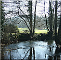 2008 : The Wellow Brook, Lower Writhlington