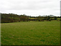 Fields near Holmes Farm