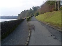 NS5575 : Split in path around Mugdock Reservoir by Stephen Sweeney