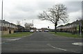 Currer Avenue - Bierley Lane