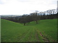 Footpath from Staircase Lane