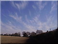 Barton Stacey -  Freshly Ploughed Field