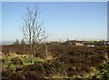 Recreation ground, Old Lindley Moor