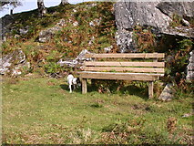 NM6949 : New Fisher's seat, Claggan Pool by Peter Bond