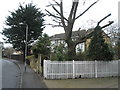 Houses in Stockheath Lane