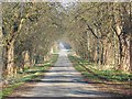 Farm road, Lockinge