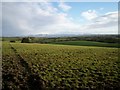 Landscape on Drumneath Road, Banbridge