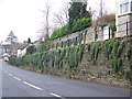 Street Scene, Stalbridge