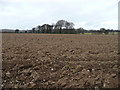 T1162 : Farm land north-west of Kilmichael by Jonathan Billinger