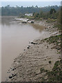 Muddy bank from the Old Wye Bridge, Chepstow